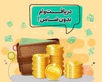 article-image
