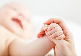 article-image