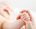 article-image